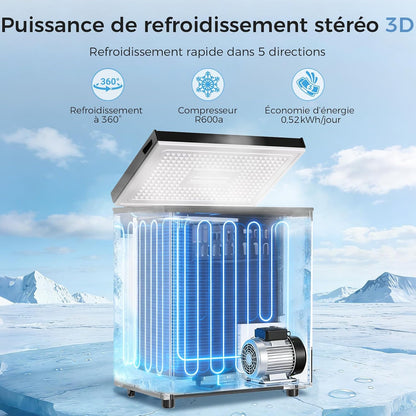 Congélateur coffre 150L, pose libre, Noir | 2 paniers amovibles, 6 niveaux de température, faible consommation d'énergie et fonctionnement silencieux de 45 dB