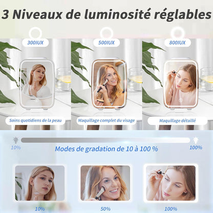 Petit Frigo de 4L Portable, Frigo Skincare avec Miroir LED