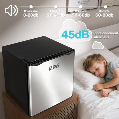 Mini Réfrigérateur 52L, Mini Congélateur, Petit Frigo