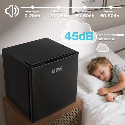 Mini Réfrigérateur 52L, Mini Congélateur, Petit Frigo