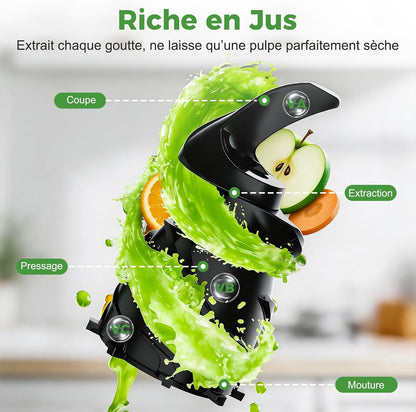 Extracteur de Jus Lent 300W, Goulotte 148 mm pour Fruits et Légumes Entiers