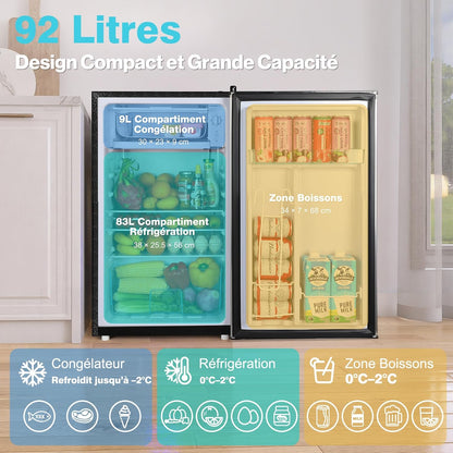 92L Small Fridge with Freezer, Integrated Compact Bottle Holder